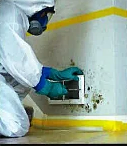A person wearing protective equipment inspecting a mold-affected wall
